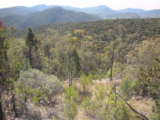 Kerrys Lookout